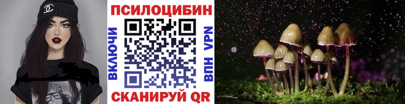 kraken ONION  Каменногорск  Псилоцибиновые грибы мицелий 